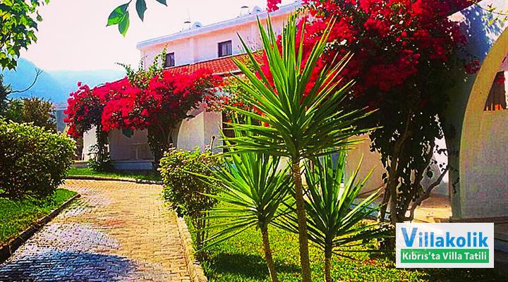 Kiralık Bungalov Bare Hill - Fotoğraf 10