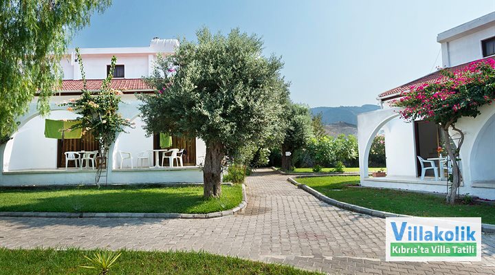 Kiralık Bungalov Bare Hill - Fotoğraf 13