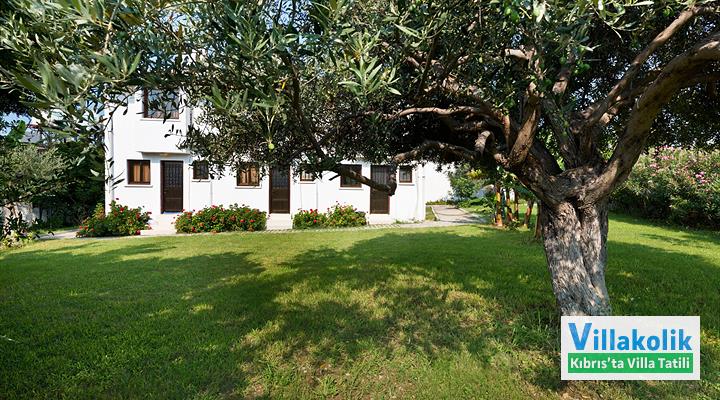 Kiralık Bungalov Bare Hill - Fotoğraf 14