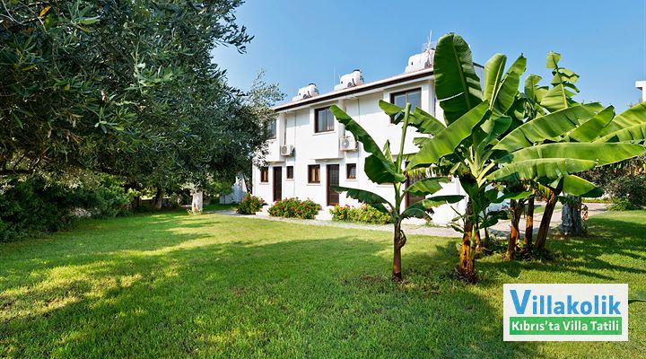 Kiralık Bungalov Bare Hill - Fotoğraf 15