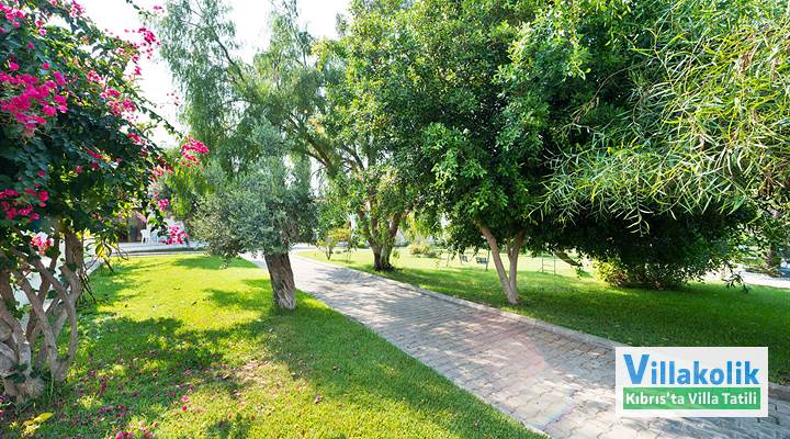 Kiralık Bungalov Bare Hill - Fotoğraf 16