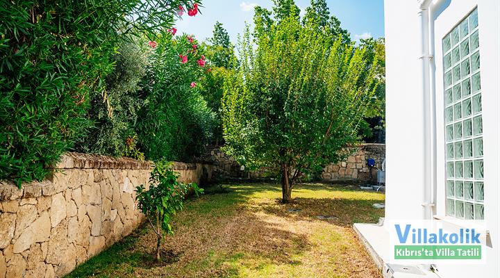 Kiralık Villa Cyprium - Fotoğraf 6