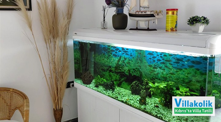 Kiralık Villa Deluxe - Fotoğraf 18