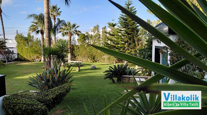 Kiralık Villa Deluxe - Fotoğraf 35