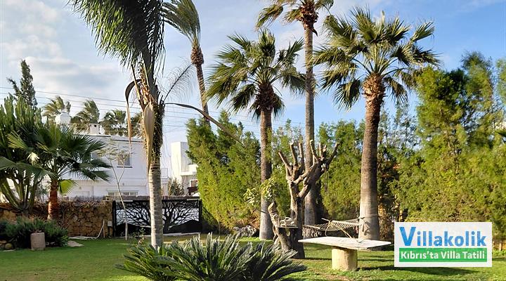 Kiralık Villa Deluxe - Fotoğraf 36