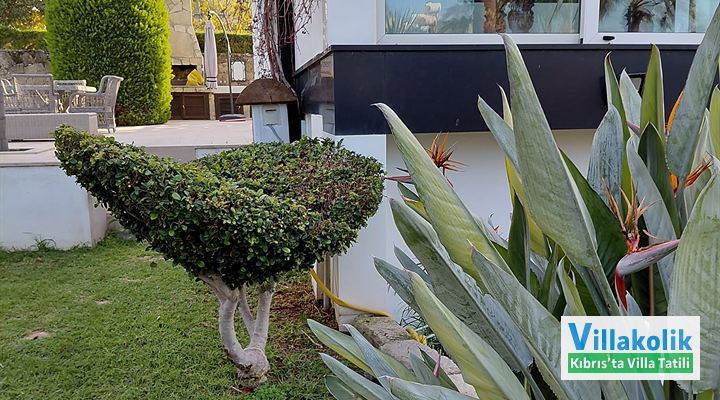 Kiralık Villa Deluxe - Fotoğraf 37