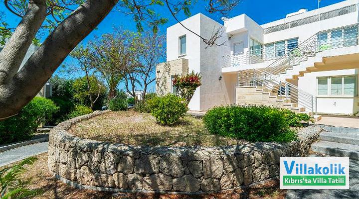 Kiralık Daire Lazy Turtle