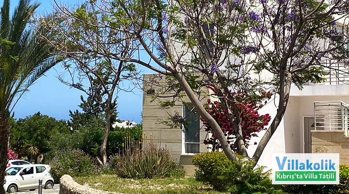 Kiralık Daire Lazy Turtle - Fotoğraf 2