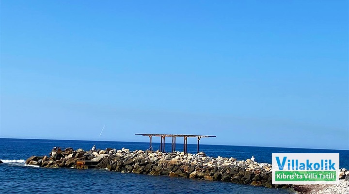 Kiralık Daire Lazy Turtle - Fotoğraf 28