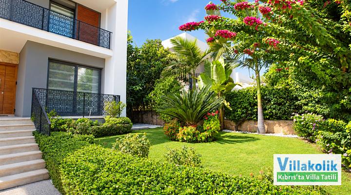 Kiralık Villa Mimoza - Fotoğraf 34