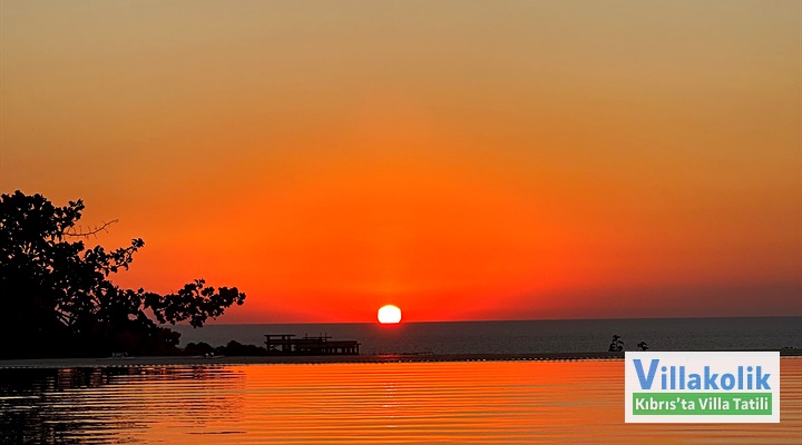 Kiralık Villa Olive View - Fotoğraf 40