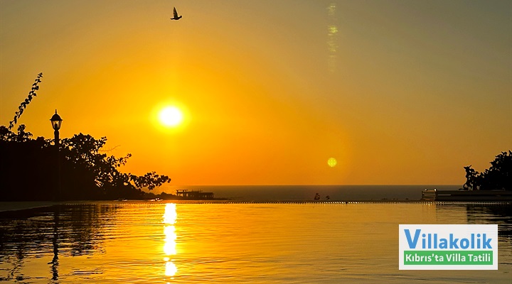 Kiralık Villa Olive View - Fotoğraf 6