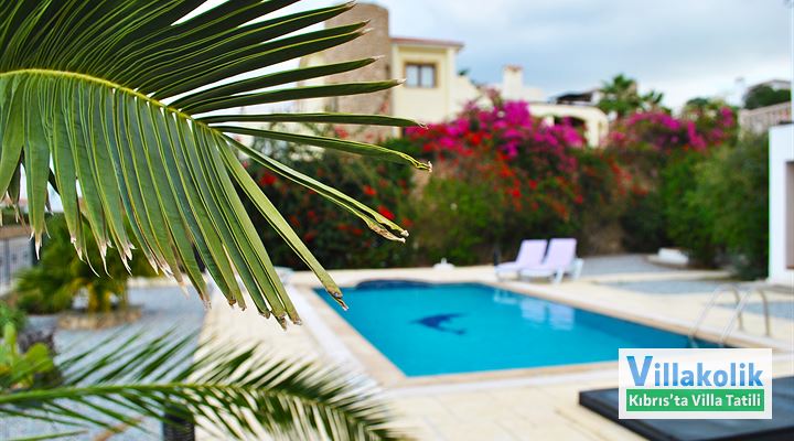 Kiralık Villa Paradisia - Fotoğraf 4