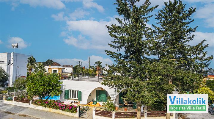 Ehtirosli jinsiy aloqa video Qanday qilib shifokorlar qinni jinsiy olatga aylantiradilar